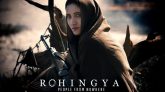 বলিউডের ‘রোহিঙ্গা’ ছবিতে বাংলাদেশি তানজিয়া