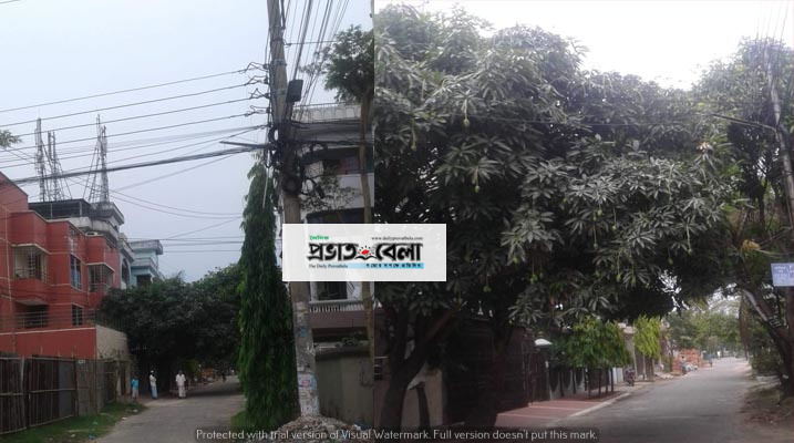 বিদ্যুত যন্ত্রণা আর কর্মচারীদের দৌরাত্মে উপশহরবাসী অতিষ্ট