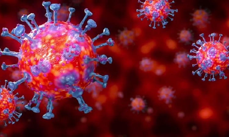 যে দেশগুলো এখনো করোনামুক্ত