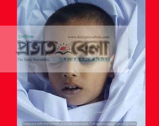পুকুরে পড়ে মা বাবার একমাত্র শিশুসন্তানের মৃত্যু