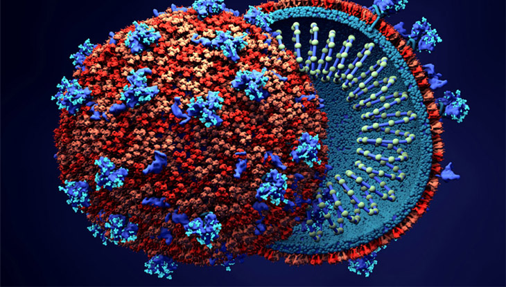 করোনা: এক সপ্তাহে শনাক্ত ৪৭৫৮, মৃত্যু ৩১