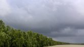 বাংলাদেশকে রক্ষায় সুন্দরবন