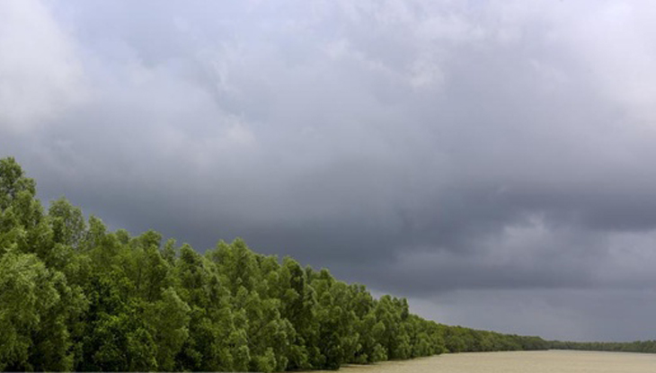 বাংলাদেশকে রক্ষায় সুন্দরবন