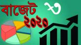 বাজেটে শুল্কমুক্ত তালিকায় ১৩ পণ্য