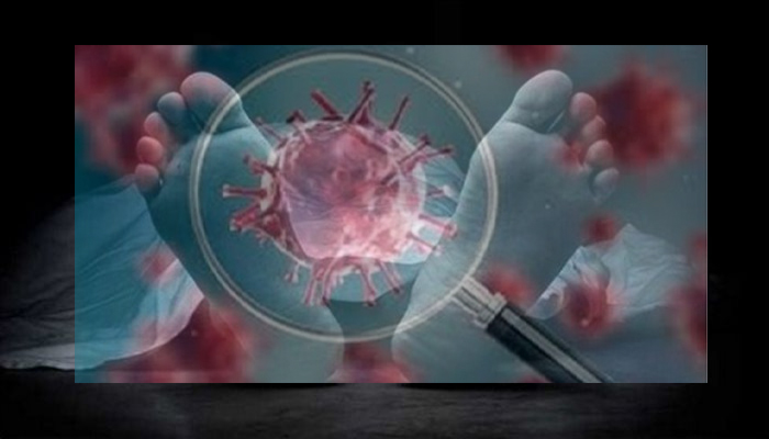 করোনায় আরও ৪৪ মৃত্যু, নতুন শনাক্ত ২৬১৭ জন