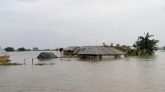 ব্রহ্মপুত্রের বাঁধ ভেঙে ভাসল ২০ গ্রাম
