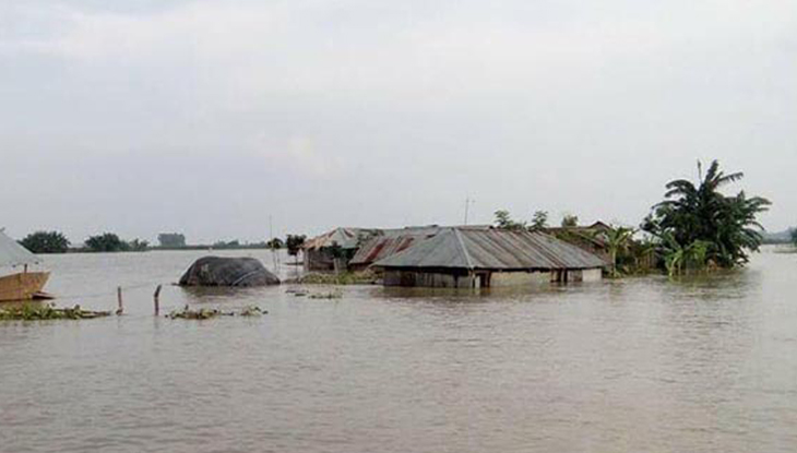 ব্রহ্মপুত্রের বাঁধ ভেঙে ভাসল ২০ গ্রাম