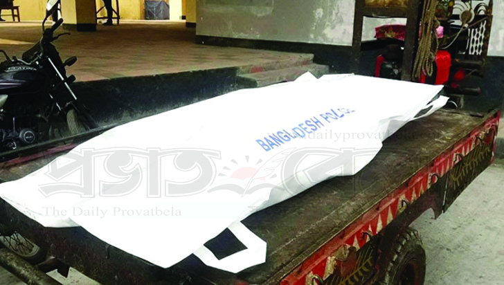 ছেলে ও পুত্রবধূর নির্যাতন সইতে না পেরে মায়ের আত্মহত্যা