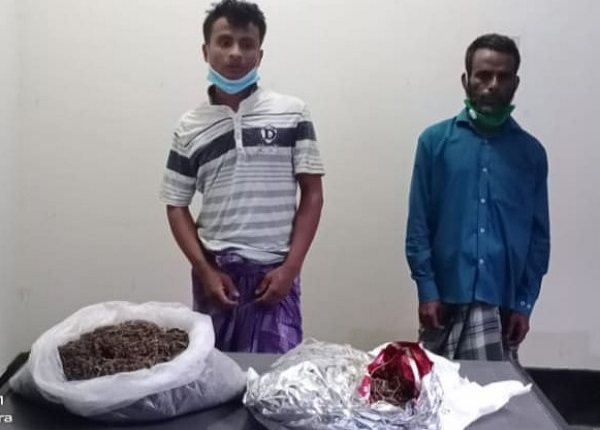জৈন্তাপুরে গাঁজাসহ  আটক ২
