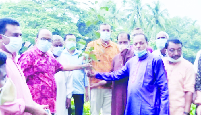 মুজিববর্ষ উপলক্ষে বানিয়াচং আওয়ামীলীগের বৃক্ষরোপন