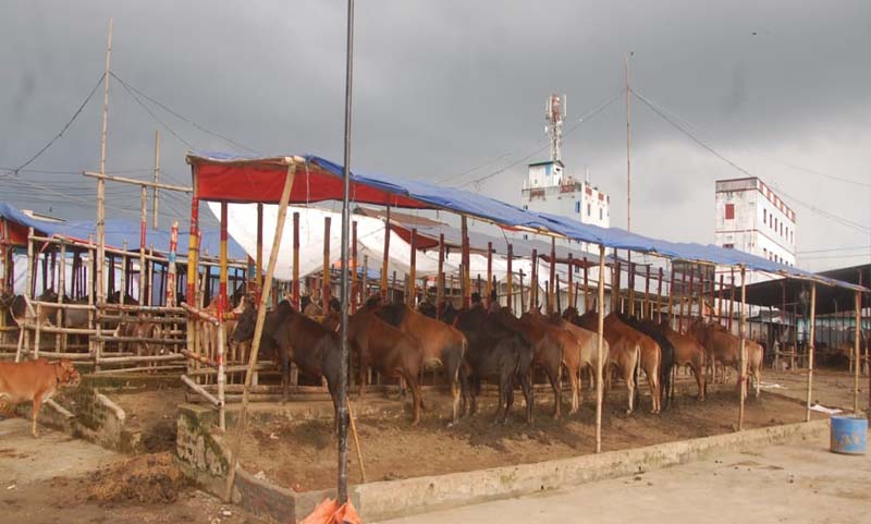 সিলেটের হাটে অল্প পশু ,স্বল্প ক্রেতা