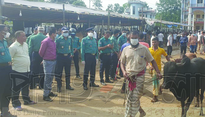 লাক্কাতুরা স্কুল মাঠ থেকে পশুর হাট উচ্ছেদ