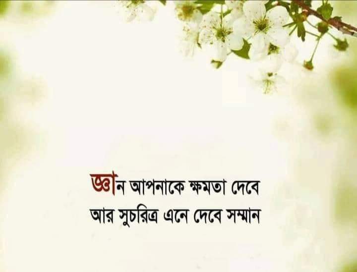 ৫মিনিটে ৫টি গল্প, অনেক শিক্ষা অনেক খোরাক