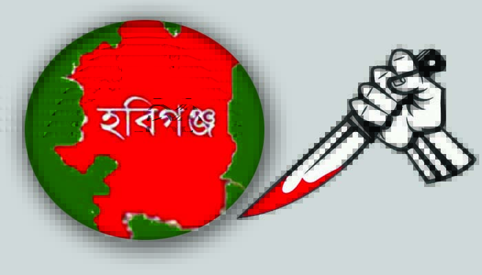 হবিগঞ্জে ভাগ্নের ছুরিকাঘাতে খালার মৃত্যু