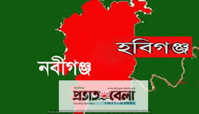 নবীগঞ্জে নির্যাতন থেকে বাঁচতে মা-ভাই-বোনের আকুতি