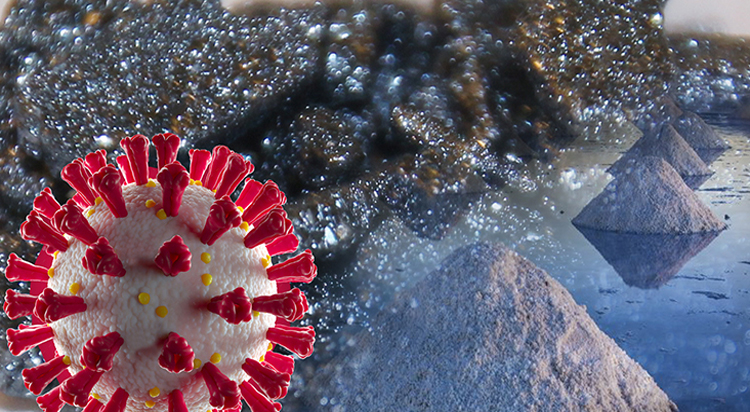 আয়োডিন ধ্বংস করে করোনাভাইরাস !