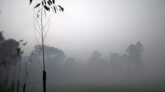 এলো শীতের আগমনী বার্তা