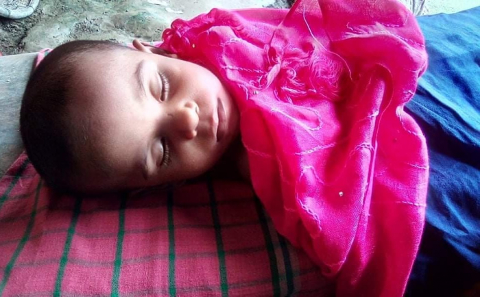 নাটোরে সাপের কামড়ে শিশুর মৃত্যু