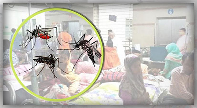 ডেঙ্গু জ্বরে  প্রথম মৃত্যু