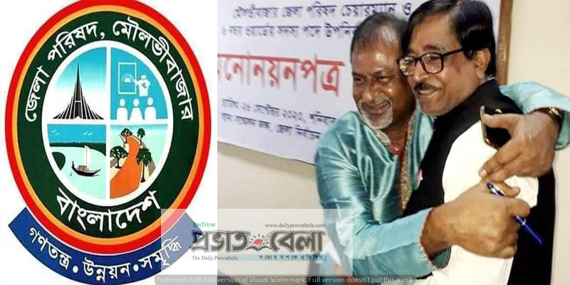 মৌলভীবাজার জেলা পরিষদ নির্বাচনে ভোটযুদ্ধে দুই আ’লীগ প্রার্থী