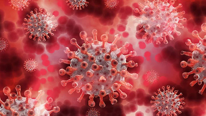 করোনা কেড়ে নিলো আরও ২৮ প্রাণ, শনাক্ত ২৪১৯