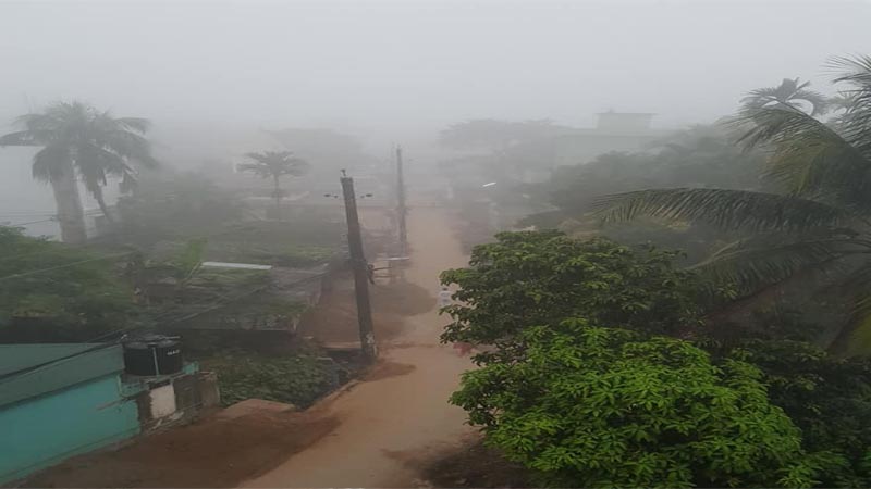 প্রকৃতিতে পরিবর্তন : হেমন্তের আগমন