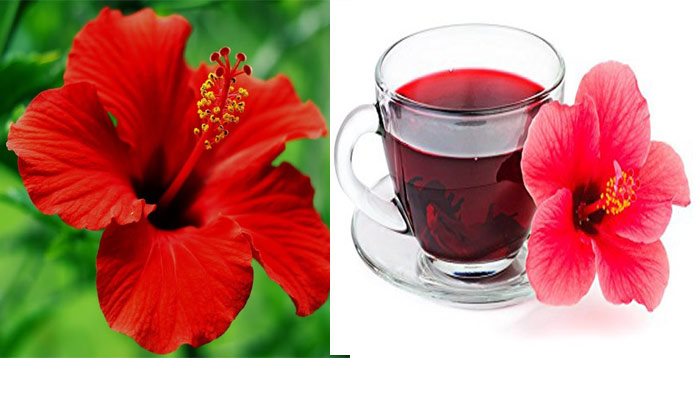 জবা ফুলের চায়ের যত গুণ