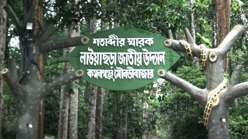 মাধবকুন্ড ও লাউয়াছড়া পর্যটকদের জন্য উন্মুক্ত