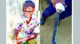 মাধবপুরে গৃহবধূর গলাকাটা লাশ উদ্ধার, স্বামী আটক
