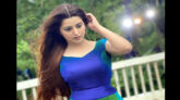 পরীর গডফাদার কে?