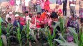 জয়পুহাটে ভুট্টাক্ষেত থেকে অজ্ঞাত লাশ উদ্ধার