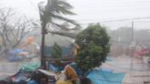 কালবৈশাখী ঝড়ে ৫ জনের মৃত্যু
