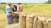 ৪০ টাকায় চাল কিনবে সরকার