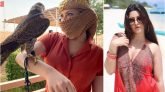 কোন পথে হাঁটলে পরীমণির জামিন সম্ভব