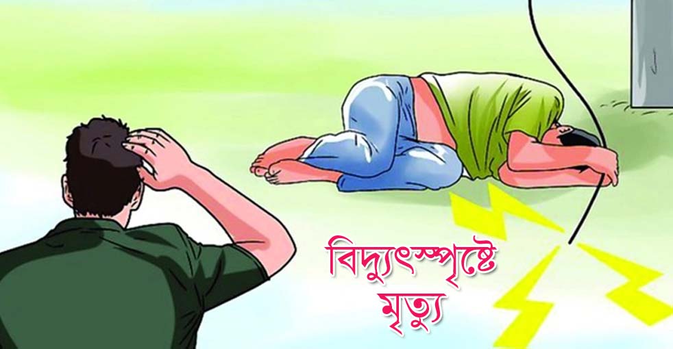 জামালপুরে বড় ভাইকে বাঁচাতে গিয়ে ছোট ভাইয়ের মৃত্যু!
