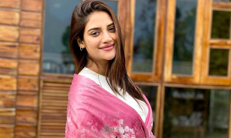 নবজাতকের পিতৃত্বের ইঙ্গিত দিলেন নুসরাত