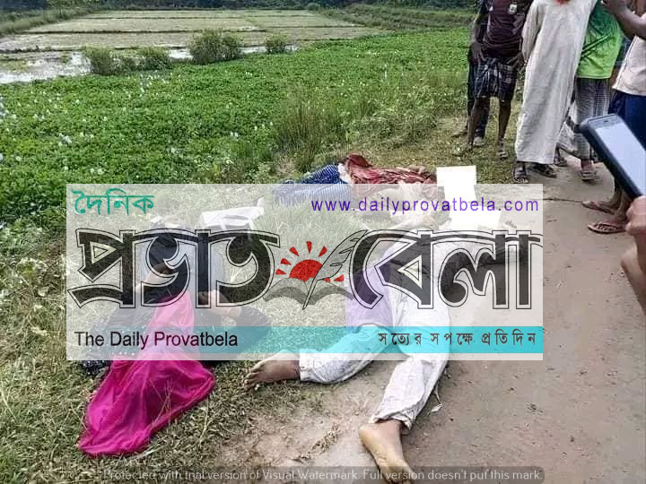 সিলেট-কোম্পানীগঞ্জ সড়কে ভয়াবহ দূর্ঘটনায় ৮ জনের প্রাণহানি