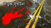 ট্রাক-পিকআপের মুখোমুখি সংঘর্ষে নিহত ৩