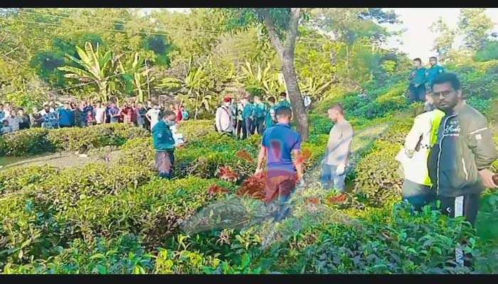 সিলেটে চা বাগান থেকে হাত কাটা লাশ উদ্ধার