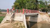 যে ব্রিজ পারাপারে মই লাগে!