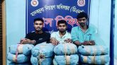 চাঁদপুরে ৪০ কেজি গাঁজাসহ আটক ৩