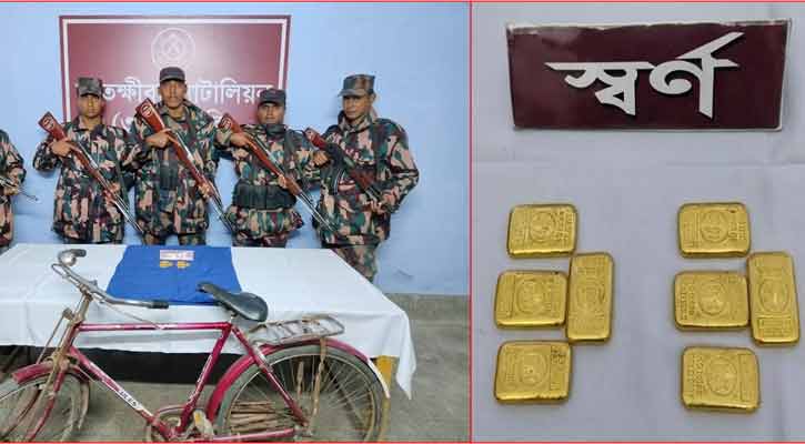 সাতক্ষীরা সীমা‌ন্তে ৮টি স্ব‌র্ণের বার জব্দ