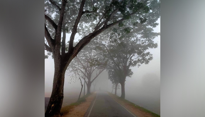 হাড়কাঁপানো শীতে কাবু শ্রীমঙ্গল