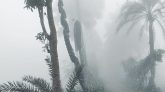 ১৩ জেলায় বইছে শৈত্যপ্রবাহ, আসবে বৃষ্টি