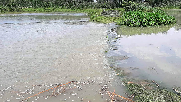 ঘূর্ণিঝড় রেমাল: জোয়ারের পানিতে প্লাবিত বরগুনার নিম্নাঞ্চল