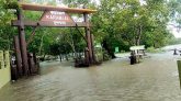 জলোচ্ছ্বাসে তলিয়ে গেছে সুন্দরবন