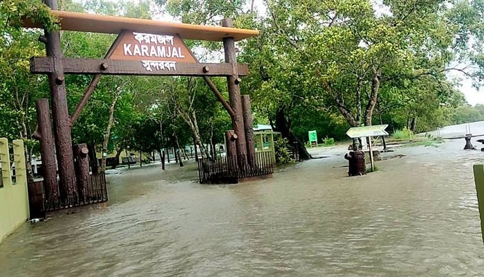জলোচ্ছ্বাসে তলিয়ে গেছে সুন্দরবন