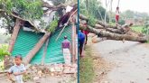 ১৫ মিনিটের ঝড়ে লন্ডভন্ড ২০ গ্রাম