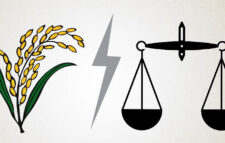 শঙ্কায় বিএনপি, সম্ভাবনায় জামায়াত