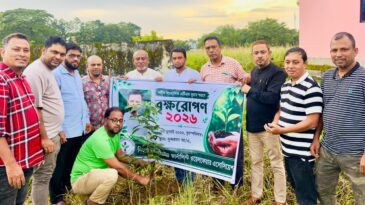 শহীদ তুরাব স্মরণে জার্নালিস্ট এসোসিয়েশন এর বৃক্ষরোপণ